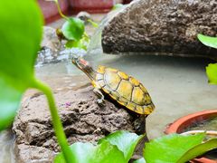 -南堂小馆·川菜馆(德商国际店)