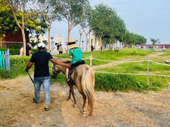 -天津妈祖文化园