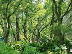 -BOCATA 西班牙餐厅(三里屯店)