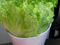 -重庆小天鹅火锅(中商广场店)