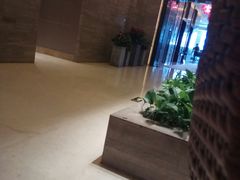 -青岛富力艾美酒店