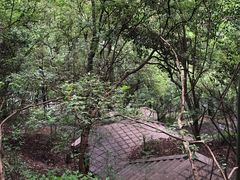 -北极阁公园