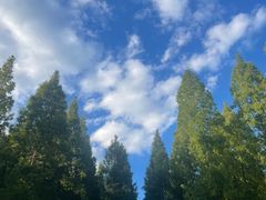 -幺妹川味·川人川菜(佛城西路店)