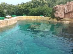 -上海玛雅海滩水公园
