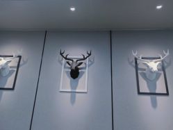 -MJ skin care国际皮肤管理中心