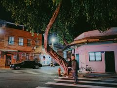 -溪岸路花鸟市场