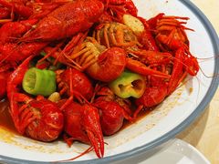 -杨氏青龙虾·羊蝎子(托乐嘉店)
