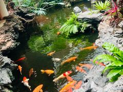 -广州白天鹅宾馆