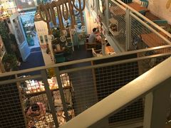 大堂-Kitchen·Y洋厨房西餐厅(王府壹号店)