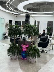 -ON STAR SALON