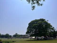 -石家庄市植物园