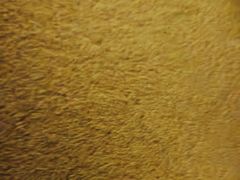 -东方之珠洗浴休闲广场(南开店)