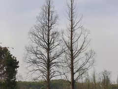-良渚古城遗址公园