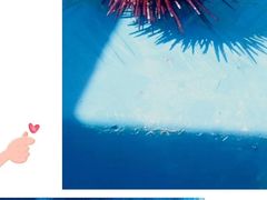 -西涌国际滨海旅游区