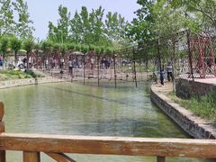 -杨柳青庄园