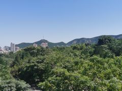 -千佛山风景名胜区