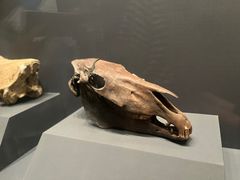-贵州省博物馆(新馆)