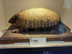 -国家自然博物馆