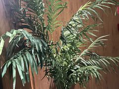 -新紫霞养生·影院足道·SPA(金山区店)