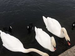 -海德公园