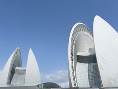-野狸岛