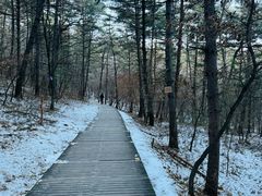 -帽儿山国家森林公园