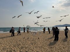 -海云台海滩