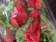 -百果园(芳华路店)