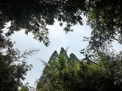 -汇龙潭
