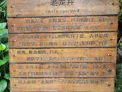 -十八棵（老龙井）御茶园(老龙井店)