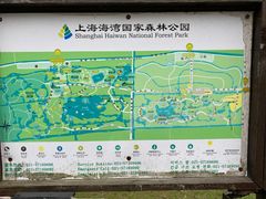 -上海海湾国家森林公园