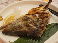 烤三文鱼头-元气寿司(宝安壹方城店)