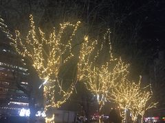 -新荟城(望京店)