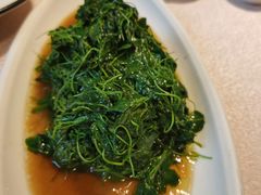 -天福苑(崇宁路店)