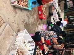 -双喜农庄·菌香园(安居家园店)