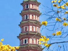 -广州莲花山旅游区