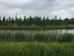 -艾溪湖湿地公园