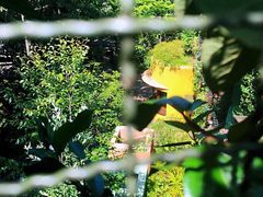 -三鹰之森吉卜力美术馆