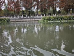-红桃K虾王·小龙虾·烧烤·火锅(红星路店)