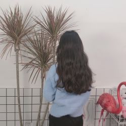 -宫铭烫发染发接发店