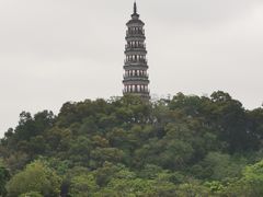 -顺峰山公园