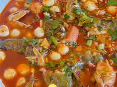 -胖大姐黄辣丁鱼庄(新津店)