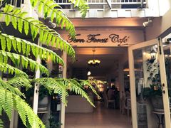 -Fern Forest Cafe