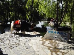 -丽江玉水寨