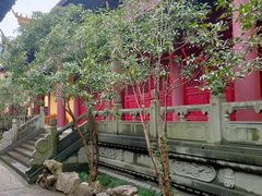 -太平禅寺