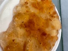 -义顺牛奶公司(新马路老店)