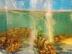 -范饭椰林川湘味海鲜·椰子鸡(三亚湾椰梦长廊店)