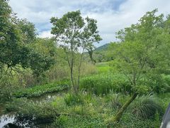 -西湖风景区-江洋畈生态公园