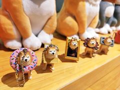 -柴务处·柴犬主题狗咖