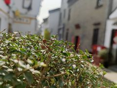-河坊街景区